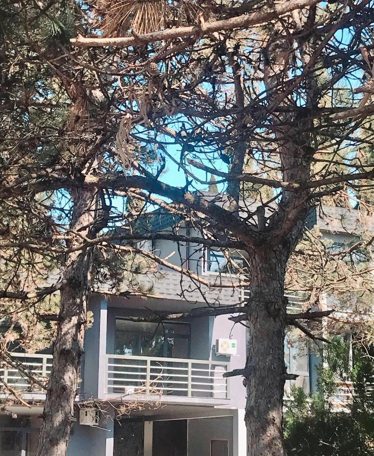 Aluar Boutique Hotel Kheivani Dış mekan fotoğraf